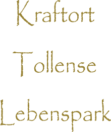 Kraftort Tollense Lebenspark